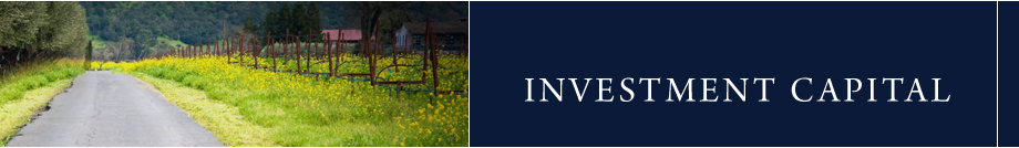 Investment Capital